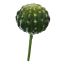 BALL CACTUS 17CM GREEN