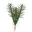 CACTUS BUNDLE X 4 24CM GREEN