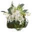 ROSE THISTLE IN MOSS POT 28CM CREAM
