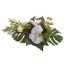 ORCHID ON PLATE D35 H12CM CREAM