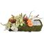 ROSE ORCHID ARR IN MOSS PLANTER 42X20CM PEACH CREAM