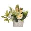 ORCHID RANUNCULUS HYDRANGEA IN POT 20X20CM CREAM GREEN