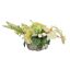ROSE ORCHID IN POT 23X50CM GREEN