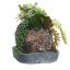 BALL DIA ON SQUARE POT SUCCULENT 17X17X27CM GREEN