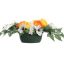 RANUNCULUS MAGNOLIA ARR IN POT 60X20X20CM ORANGE YELLOW