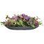 ROSE HYDRANGEA ARR IN POT 35X30X15CM LILAC LAVENDER