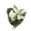 ROSE LILY ARR IN HEART 20X20X18CM CREAM