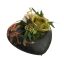 ROSE ARR IN HEART PLANTER 20X20X13CM PEACH GREEN