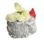 ROSE HYDRANGEA IN PLANTER GOBLIN 13X10X10CM GREEN