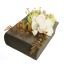 ORCHID ROSE IN BOOK PLANTER 22X16X14CM CREAM GREEN 