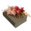 ORCHID ROSE IN BOOK PLANTER 22X16X14CM PEACH
