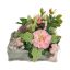 ZINNIA HELLEBORUS ARR IN BOOK PLANTER 13X18X14CM PINK