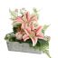LILY ROSE ARR IN SQUARE PLANTER 35X30X30CM PINK
