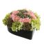 ZINNIA HYDRANGEA ARR IN HEARTH 16X30X30CM PINK