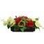 ROSE ORCHID ARR IN PLASTIC POT 16X44X16CM GREEN