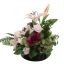 LILY BRASSIA ARR 30X35X26CM LAVENDER