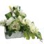 ORCHID BRASSIA ARR IN PLANTER 30X30X40CM GREEN