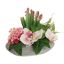 ORCHID ZINNIA IN OVAL PLANTER 17X22X15CM PINK