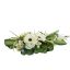 GERBERA ROSE ARR ON POT 55X19CM CREAM