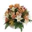 ROSE LILY ARR IN ROUND POT D40X33CM AMBER