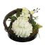 GIANT MUM IN ROUND POT D25X20CM CREAM
