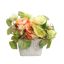 ROSE ORCHID ARR IN SQUARE PLANTER 20X25X25CM ORANGE