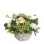 ROSE BERRY ARR IN ROUND POT D25X18CM CREAM