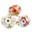 ORCHID GERBERA ARR IN ROUND POT D25X18CM ASSORTED