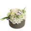 ROSE HYDRANGEA ARR IN ROUND POT D20X15CM GREEN