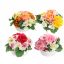 ORCHID MUM ARR IN ROUND TRAY D20X15CM ASSORTED
