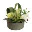 ROSE CALLA ARR IN ROUND POT D30X25CM GREEN