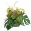 ROSE MINI AGAVE ARR IN ROUND PLANTER D28X22CM GREEN