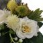 65110495-cr_2.jpg