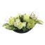 ROSE FLAT CACTUS ARR IN OVAL PLANTER 39X12X30CM GREEN