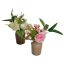 ROSE MIX IN VASE 30CM ASSORTED