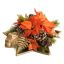 PIONSETTIA PINE CONE ARR IN STAR PLATE 30X16CM ORANGE