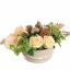 ROSE ORCHID ARR IN ROUND POT 40X20X17CM SALMON