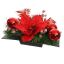 PIONSETTIA SHINY BALL ARR ON SQUARE PLANTER 30X15X16CM RED