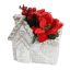 PIONSETTIA ARR IN CEMENT HOUSE 17X11X20CM RED
