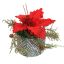 PIONSETTIA ARR IN ROUND POT D19X17CM RED