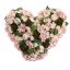 HYDRANGEA RANUNCULUS ARR ON HEARTH 50X50X15CM PINK