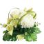 MUM ORCHID ARR 45X25CM GREEN