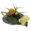 ROSE/CALLA ARRANGEMENT IN POT GREEN