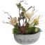 ROSE/SKIMMIA/SNOWBALL ARRANGEMENT IN POT VANILLA