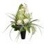 ORCHID ROSE ARR IN POT 15X50CM CREAM