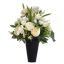 FREESIA RANUNCULUS ARR IN POT 20X40CM CREAM