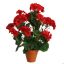 GERANIUM IN PLASTIC POT 48CM RED