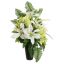 ROSE LILY ARR IN POT 25X40CM CREAM