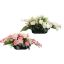 ROSE ORCHID ARR IN PLASTIC POT 80X30X28CM ASSORTED