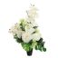 ROSE ORCHID ARR IN VASE 30X50CM CREAM